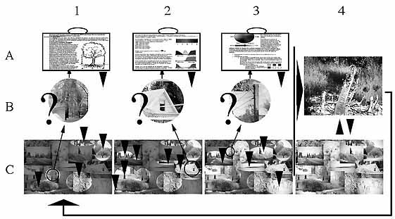 Processus de connaissance du paysage