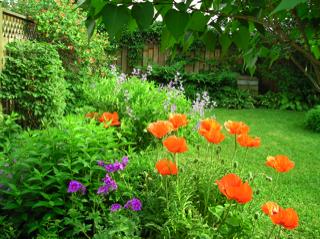 Jardin résidentiel par Bruno Gadrat