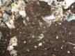 Vermicompost composition